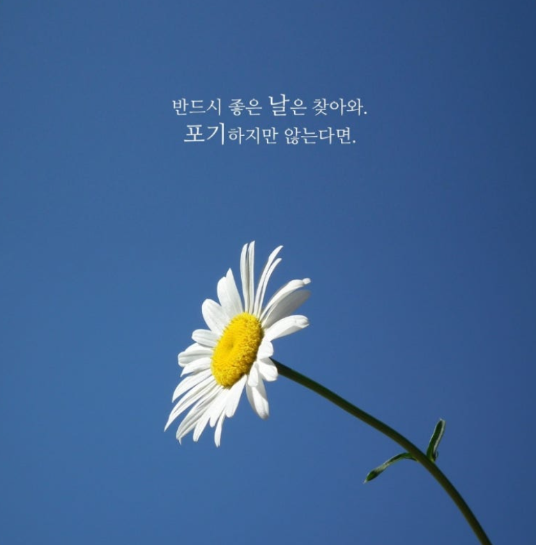 시간이 너무 빨리 가요 ㅠㅠ