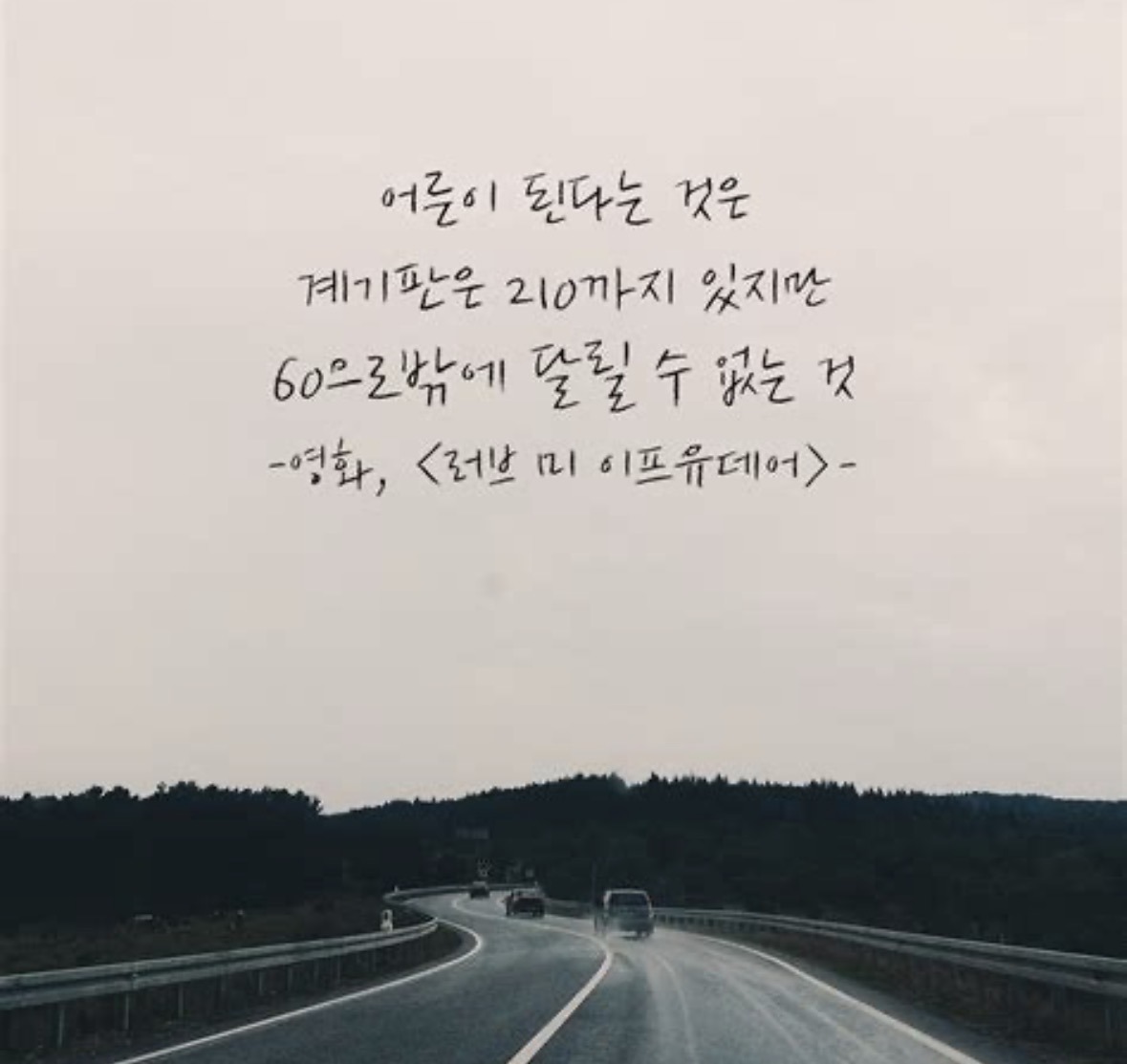 출첵