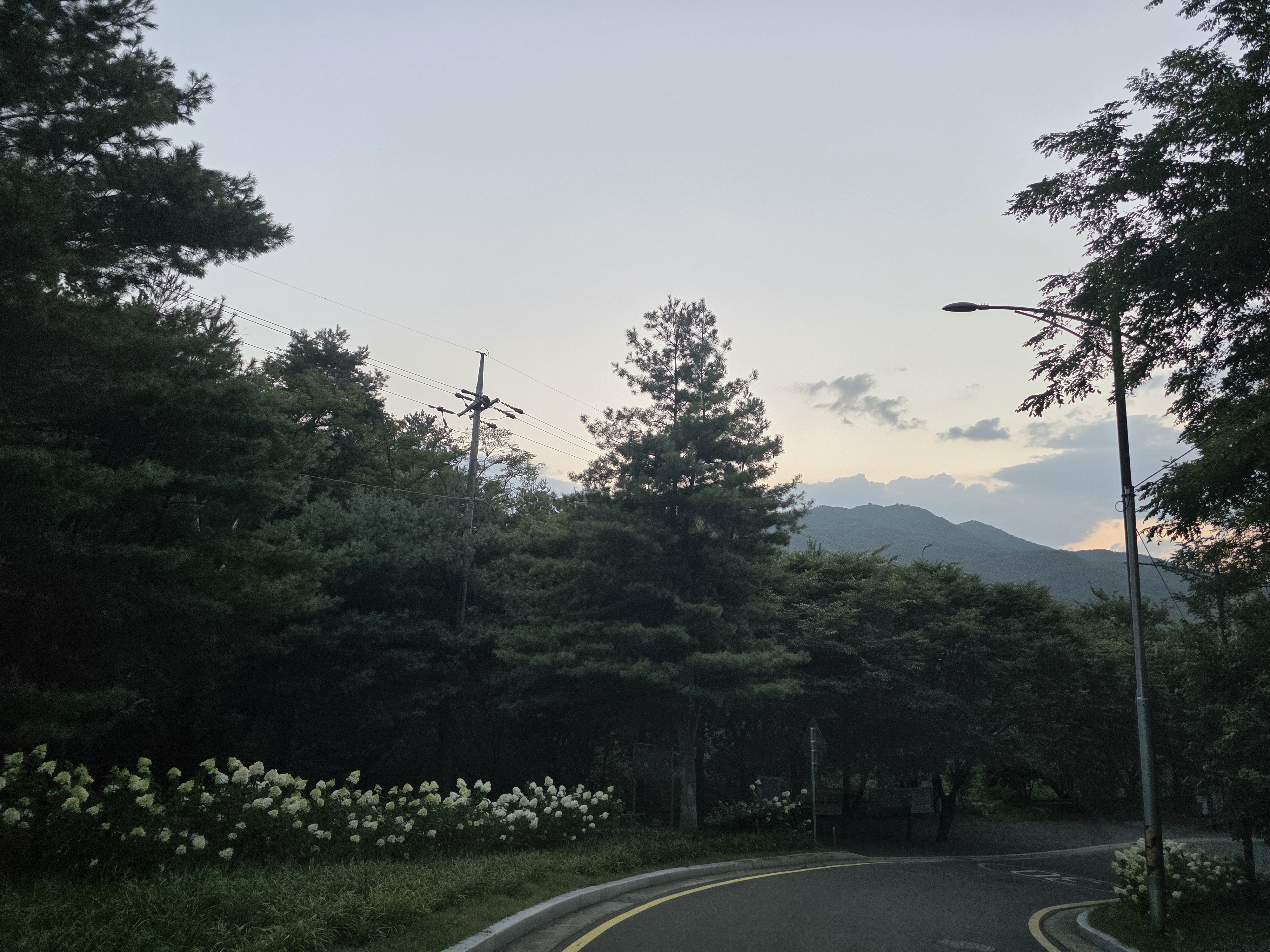 머리도 식힐겸 이미지 1