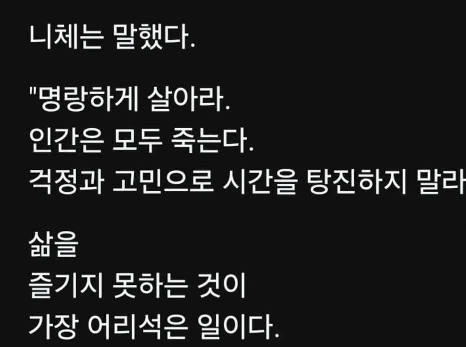 니체는 말했다