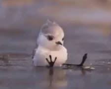 images.jpg