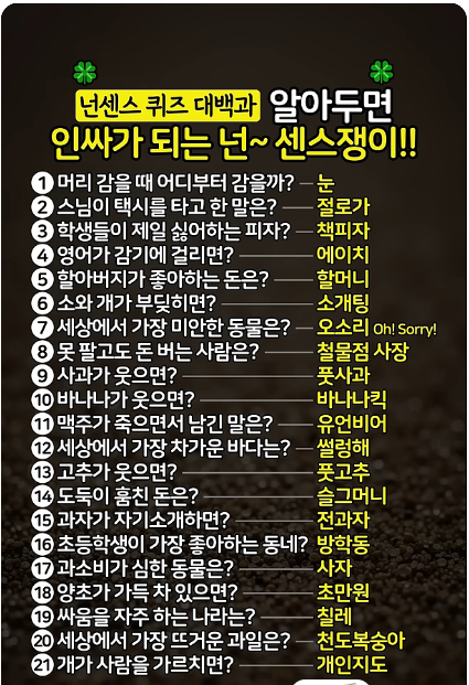넌센스