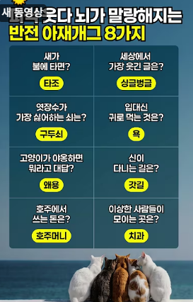 넌센스