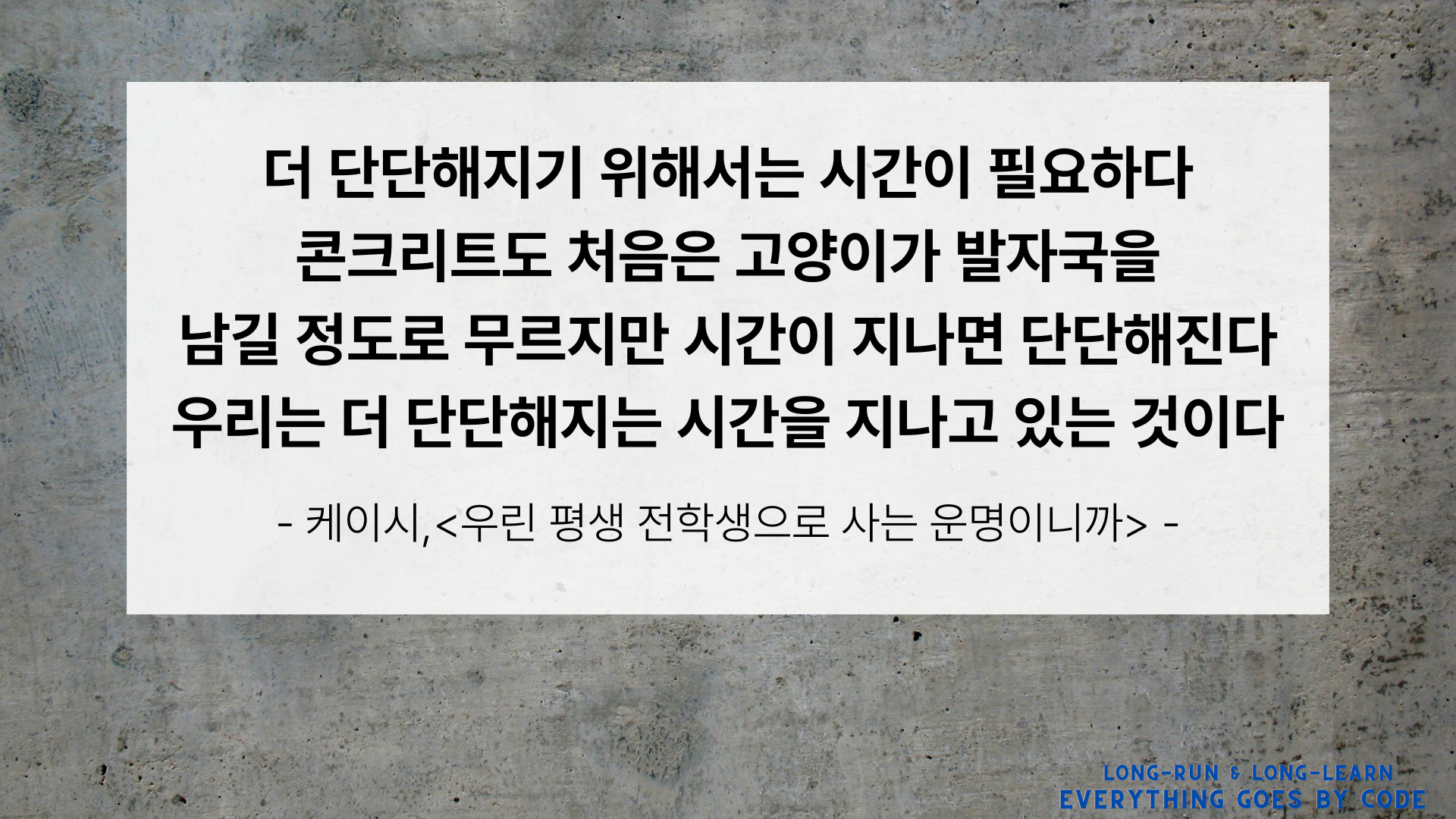 단단함