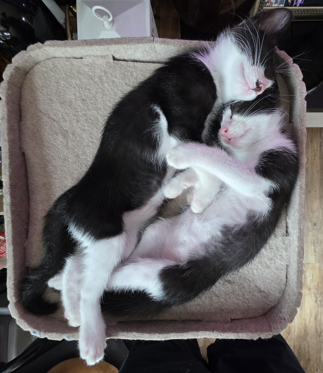 KakaoTalk_20260723_143924458.jpg