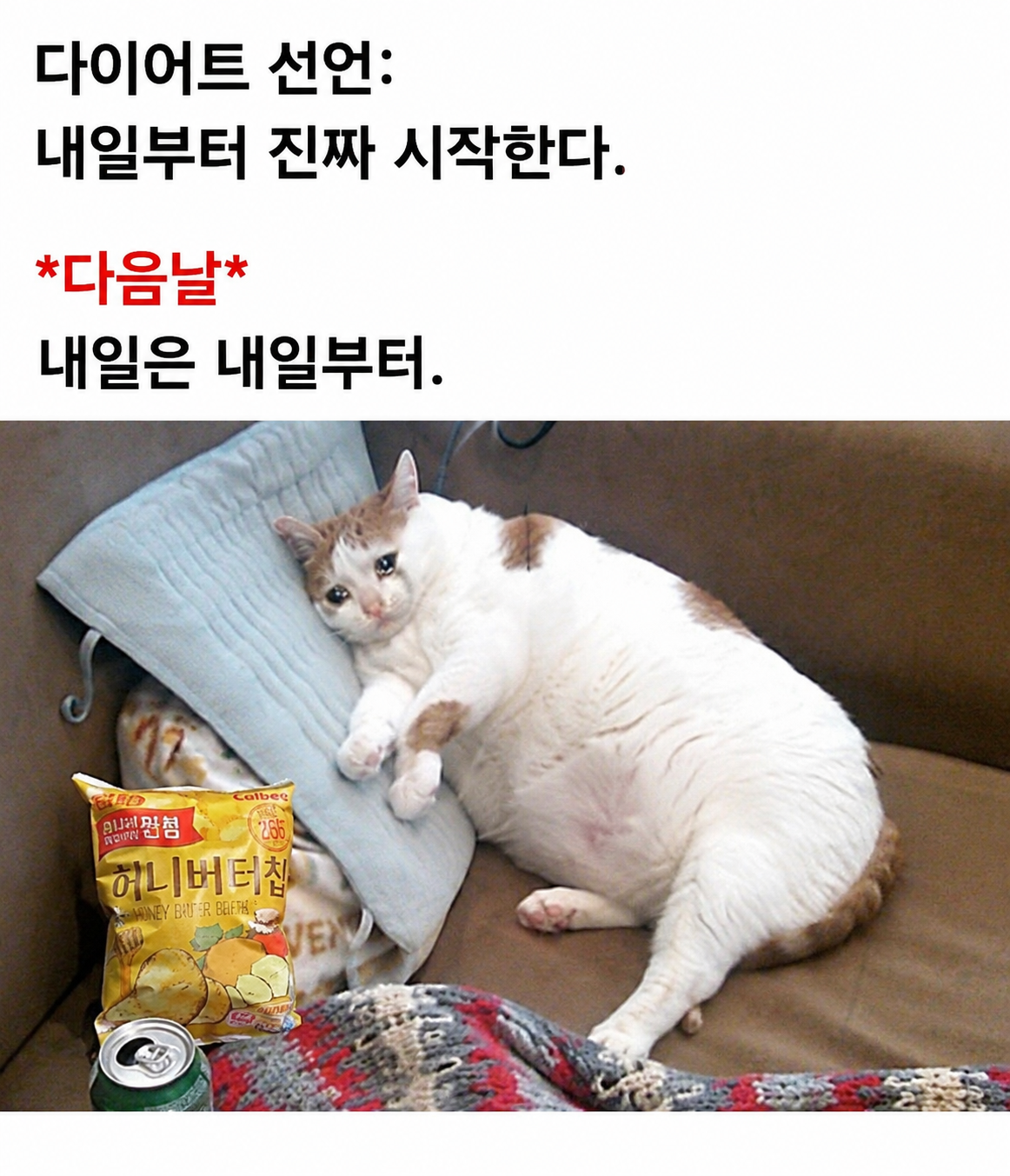 다이어트는