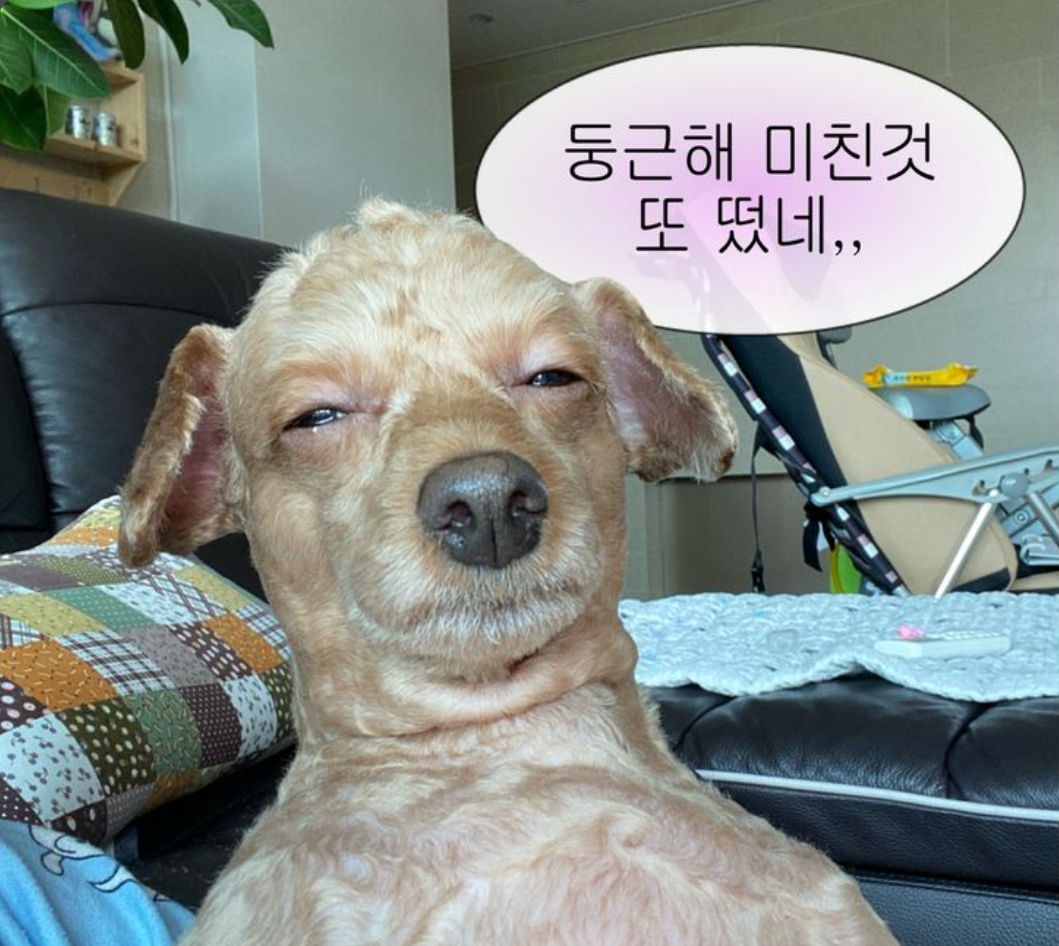 동감되네